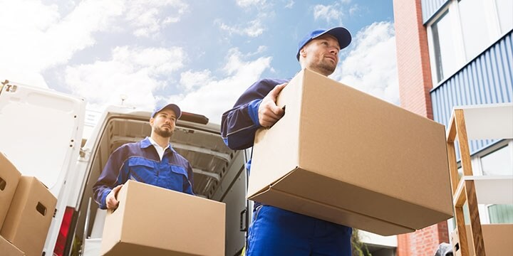 Packers And Movers in Noida Sector 6